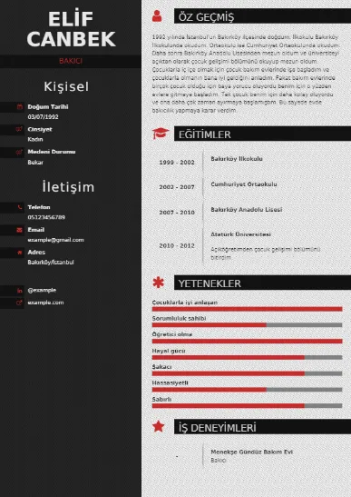 Bakıcı Örnek cv indir